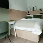 Rent a room in brussels