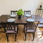 Rent 3 bedroom apartment of 80 m² in Kassel