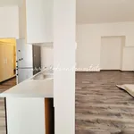 Pronajměte si 2 ložnic/e byt o rozloze 42 m² v Prague