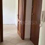 Rent 2 bedroom apartment of 60 m² in Alessandria