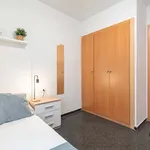 Rent a room of 80 m² in Valencia