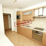 Rent 2 bedroom apartment of 56 m² in Chorzów