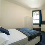 Rent 8 bedroom student apartment in Redfern