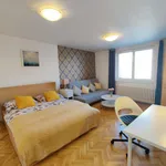 Rent 1 bedroom apartment of 36 m² in Prague