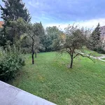 Rent 1 bedroom apartment of 35 m² in Krupka