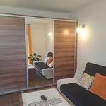 Rent 2 bedroom apartment of 60 m² in Krakow