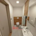 Rent 3 bedroom apartment of 441 m² in Trhový Štěpánov