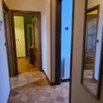 Rent 2 bedroom apartment of 60 m² in Biella