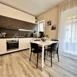 Rent 2 bedroom apartment of 55 m² in Trento