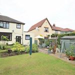 Rent 6 bedroom house in North East England