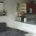 Rent 2 bedroom apartment of 44 m² in Toulouse