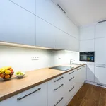 Rent 1 bedroom apartment of 45 m² in Praha 8 - Libeň