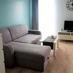 Rent 1 bedroom apartment of 30 m² in Bielsko-Biała