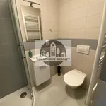 Rent 1 bedroom apartment of 25 m² in Praha