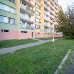 Rent 2 bedroom apartment of 48 m² in Neratovice