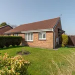 Semi-detached bungalow to rent in Exeter Avenue, Radcliffe, Manchester M26