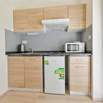 Rent 1 bedroom apartment in Brno