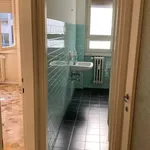 Rent 2 bedroom apartment of 50 m² in Milano