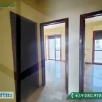 Rent 3 bedroom apartment of 85 m² in Bari