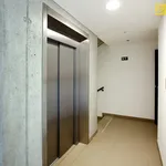 Rent 2 bedroom apartment of 69 m² in České Budějovice