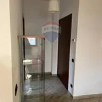 Rent 1 bedroom apartment of 44 m² in 44
 
 Garbagnate Milanese