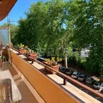 Rent 5 bedroom apartment of 140 m² in Roma