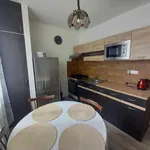 Rent 1 bedroom apartment of 34 m² in Brno