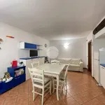 Rent 2 bedroom apartment of 55 m² in Brescia