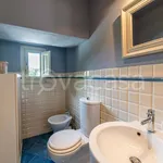 Rent 3 bedroom apartment of 142 m² in Lucca