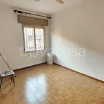 Rent 4 bedroom apartment of 100 m² in Bologna