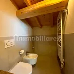 Rent 1 bedroom apartment of 30 m² in Tregnago