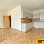 Pronajměte si 3 ložnic/e byt o rozloze 85 m² v Znojmo