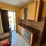 Rent 2 bedroom apartment of 45 m² in Cassino