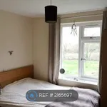 Rent 4 bedroom house in East Midlands