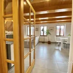 Rent 3 bedroom house of 140 m² in Kněžmost