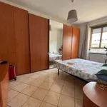 Rent 1 bedroom apartment of 16 m² in Turin