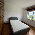 Rent 3 bedroom apartment in Bragança