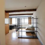 Rent 1 bedroom apartment of 60 m² in Brussels