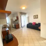 Rent 2 bedroom apartment of 57 m² in Riccione