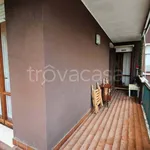 Rent 3 bedroom apartment of 100 m² in Padova