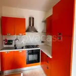 Rent 1 bedroom apartment of 30 m² in Perugia