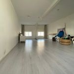 Rent 1 bedroom house of 28 m² in Rotterdam