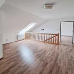 Rent 3 bedroom apartment of 79 m² in Karlovy Vary