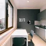 Rent 1 bedroom apartment of 40 m² in Berlin