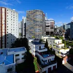 Rent 1 bedroom apartment in Auckland