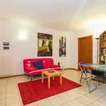 Rent 1 bedroom apartment of 55 m² in turin