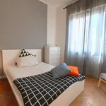 Rent a room in padua