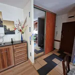 Rent 3 bedroom apartment of 75 m² in Wrocław