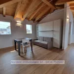 Rent 1 bedroom apartment of 44 m² in Codognè