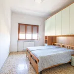 Apartment via Antonino Calcagnadoro 60, Rieti